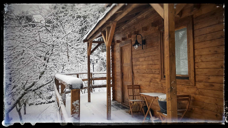 Chalet vezzani spa à Vezzani