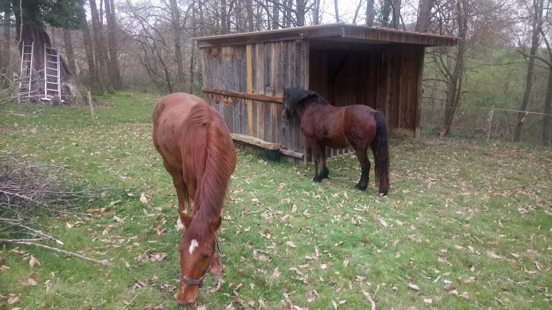 Blousson-Sérian à Blousson-Sérian