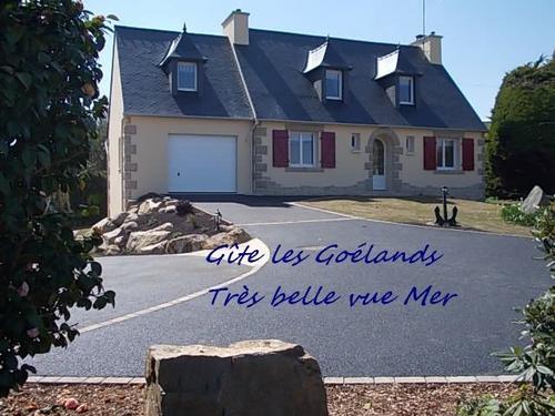 Les Goélands à Pleubian