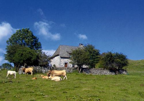 Maisonnette proche de la ferme à Laguiole