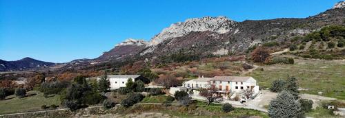 Lou Pitchot Maximénet - le Cerf à BUIS-LES-BARONNIES