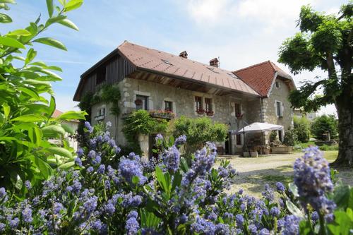 Le Marronnier à Chapeiry
