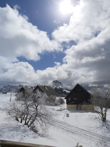 Chalet Les Mouflons à Chastreix