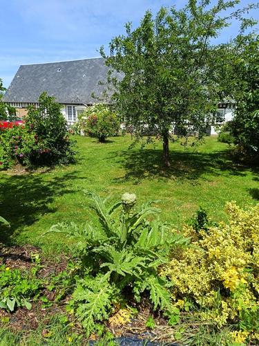 Gîtes de France® - Entre Ferme et Mer à Ancretteville Sur Mer