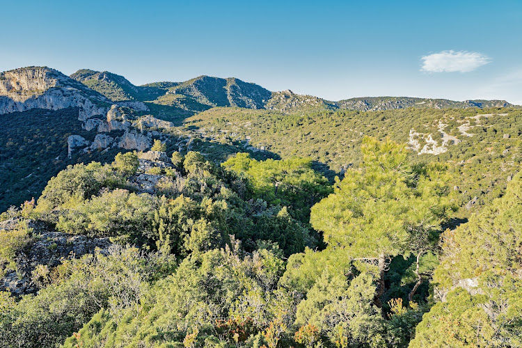 Chemin de Saint Guilhem à Saint-Guilhem-le-Désert