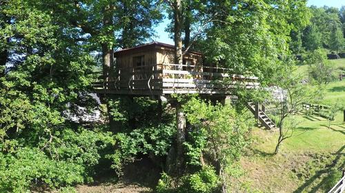 Cabane dans les arbres Domaine du Châtelet à Ferdrupt