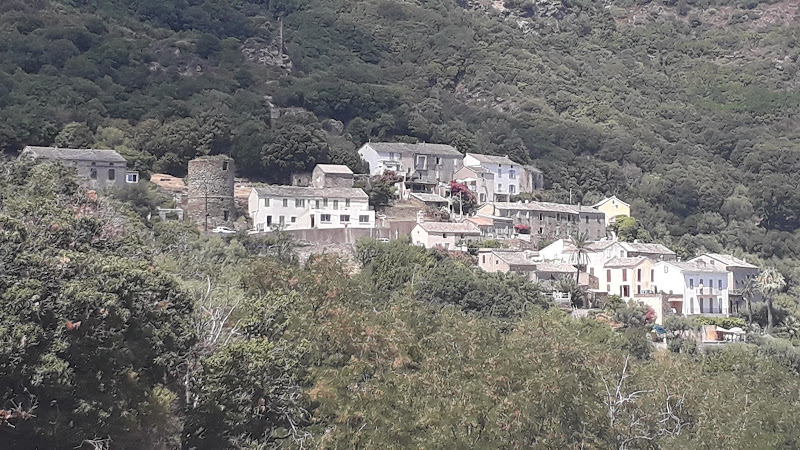 Rogliano à Rogliano