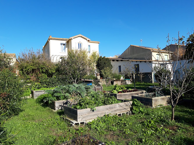 L Agapanthe