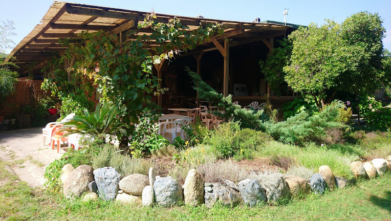 Domaine de l Avidanella à San-Nicolao