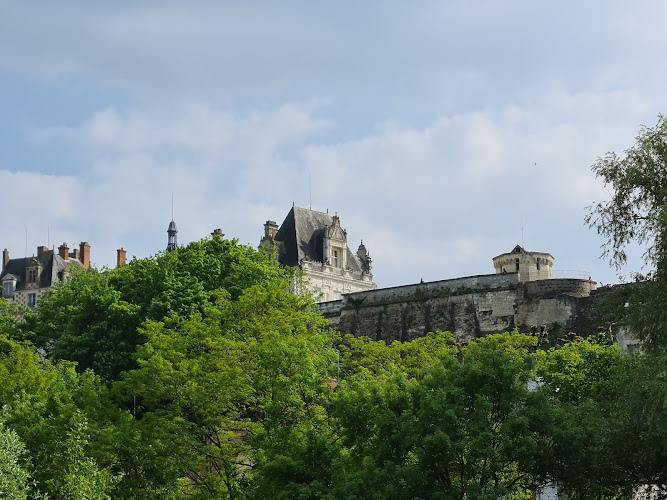 Camping Public à Saint-Aignan