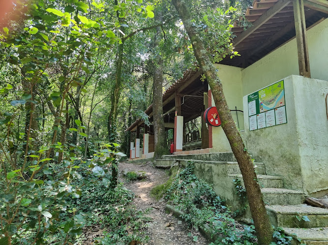 Camping Naturiste les Templiers à Saint-Remèze