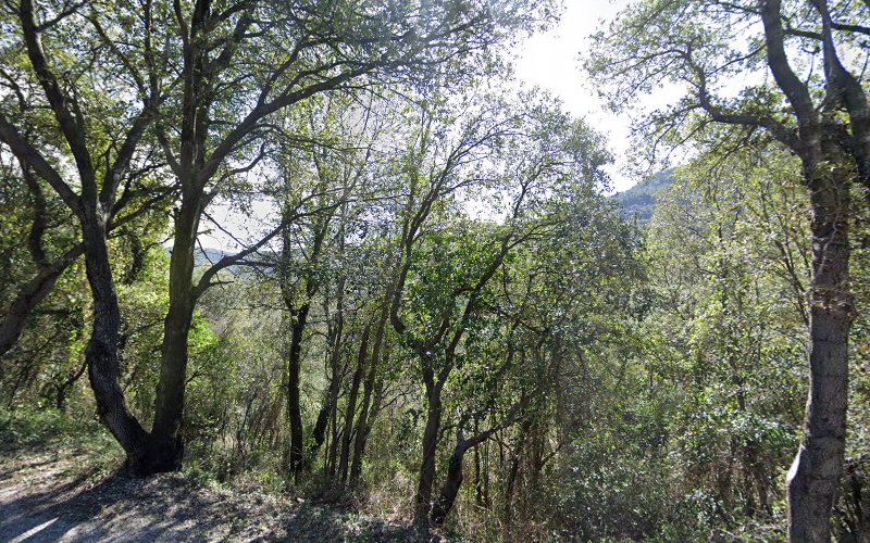 Bastidon Des Oliviers à Claviers