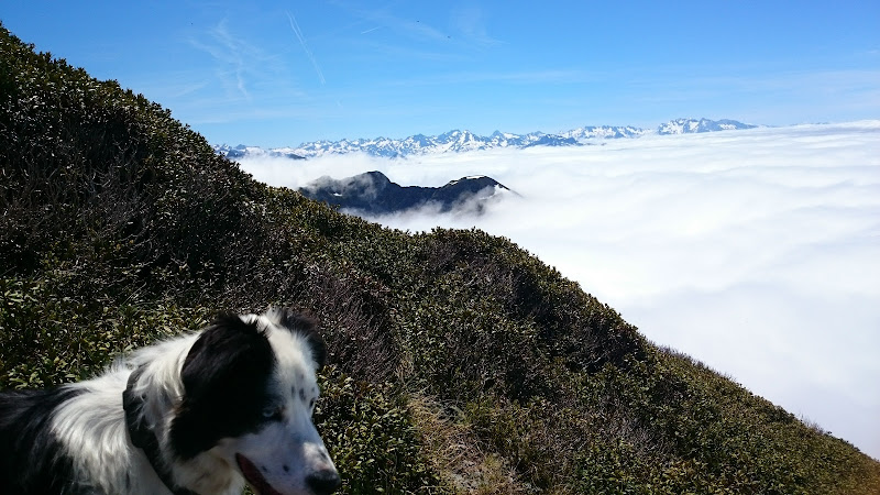 65100 Ségus à Ségus
