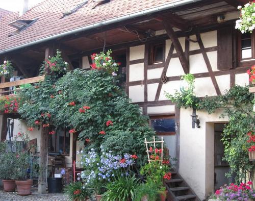 Au fenil à Hindisheim