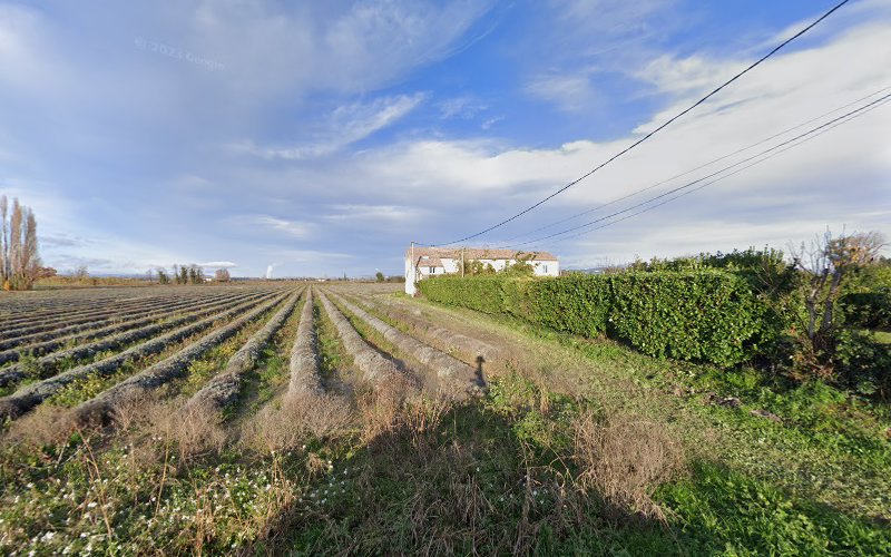 Mas Zazezou à Lamotte-du-Rhône