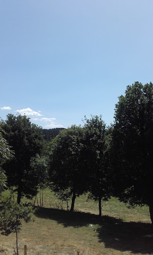 Saint-Léger-du-Malzieu à Saint-Léger-du-Malzieu