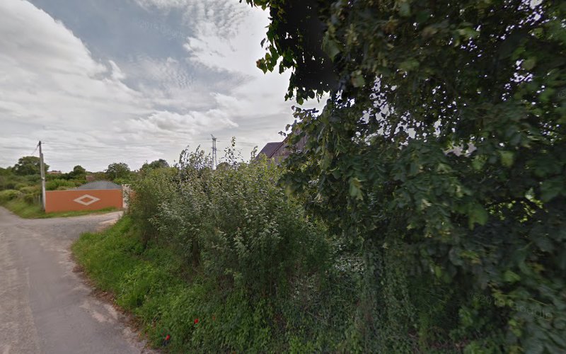 Labouret à Yvré-le-Pôlin