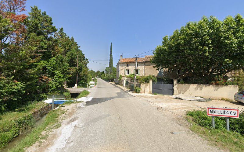 Mas des Angelots à Mollégès