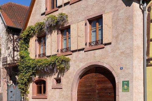 La Saison des Cerises à Bergheim