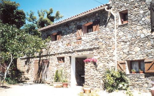 Campagne le bas Bérard G1391 à La Garde Freinet