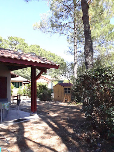 Ma location sous les pins à Moliets à Moliets-et-Maa