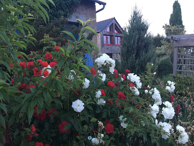 Anémérial et Capucine Gîte à la campagne à Saint-Hilaire-du-Maine