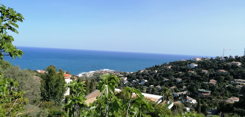 La vie en bleu à Roquebrune-sur-Argens