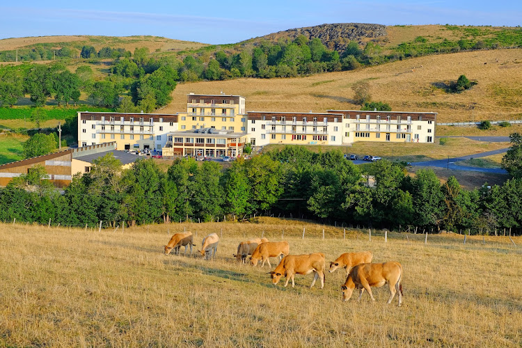 Fleurs d Aubrac de Laguiole à Laguiole