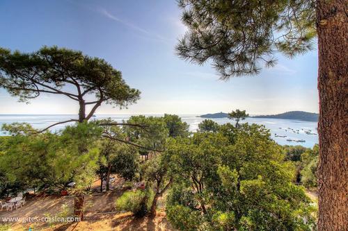 Bella vista 2 à Sainte Lucie De Porto Vecchio