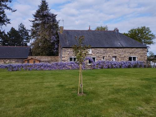 La Maison de Rosalie à Plelan Le Grand
