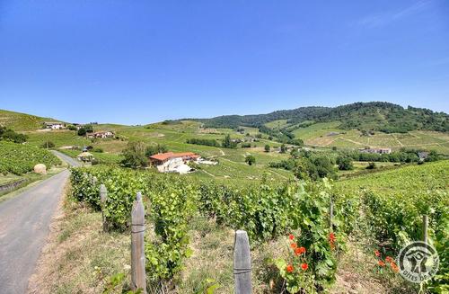 Les 3 gîtes du vignoble Aufranc à Fleurie