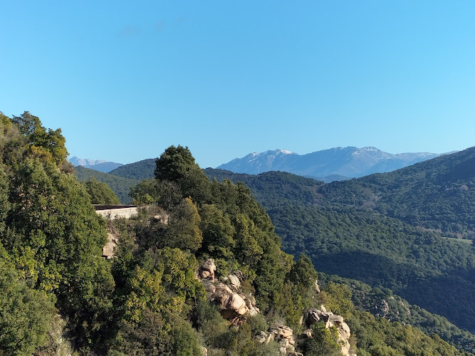 Albitreccia à Albitreccia