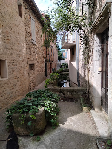chambre d hôtes Cordes-sur-Ciel casa-occitane à Mouzieys-Panens