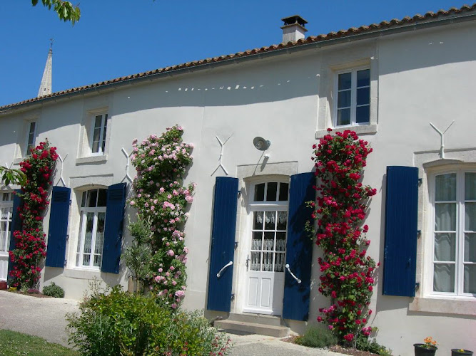 Gîtes l Oiseleur et Nymphéa à Damvix