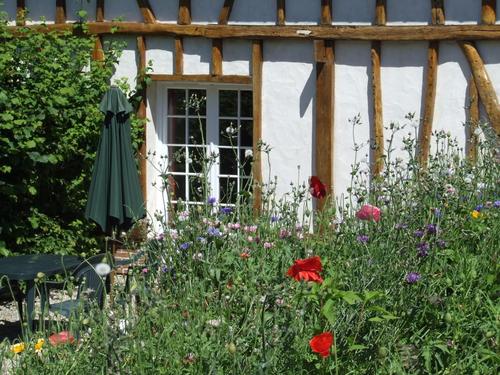 Le capucine à Crecy-En-Ponthieu
