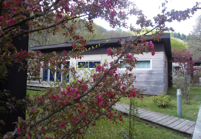 Les Terrasses de l Agout à Fraisse-sur-Agout