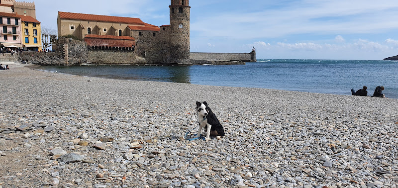 Mas Lamon à Argelès-sur-Mer