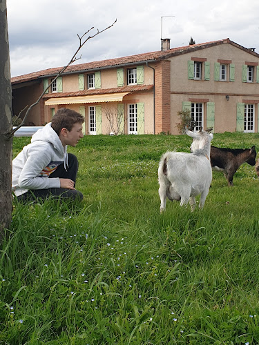 La Ferme du Puits carré à Lamasquère