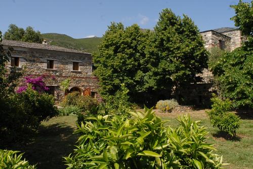 Levente à Patrimonio
