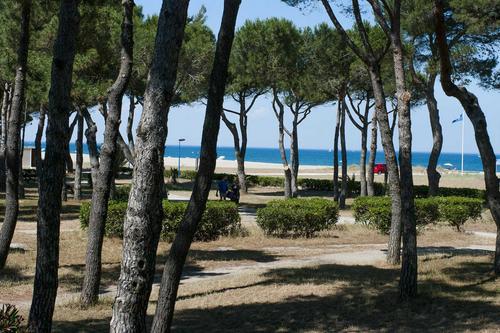 Argelès-Plage