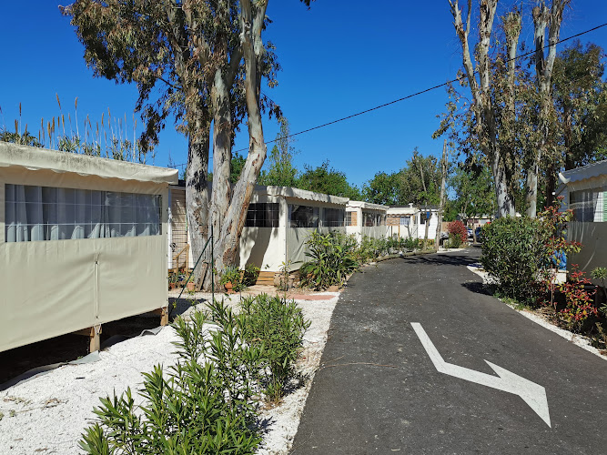 Camping Les Fontêtes à Hyères
