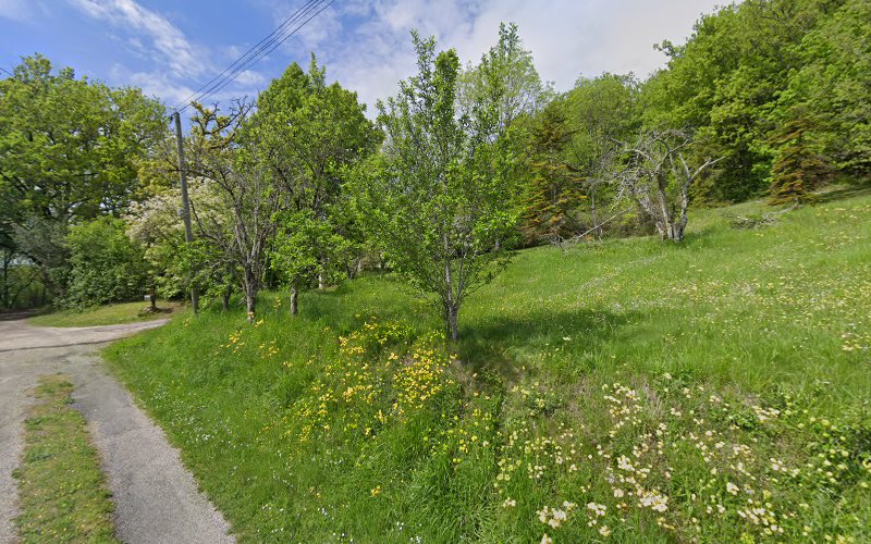 Sous les Arbres à Montagudet