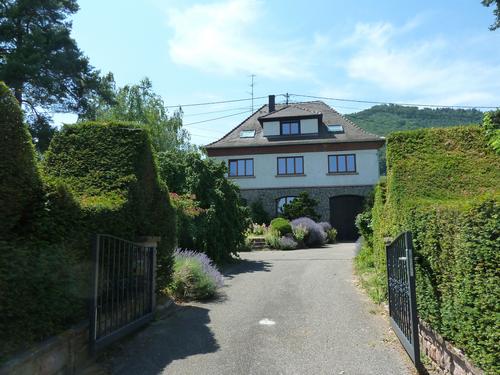 Gîte au pied des vignes à Châtenois