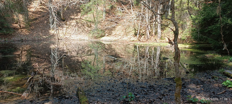 Autransméaudre en vercors à Autrans-Méaudre-en-Vercors