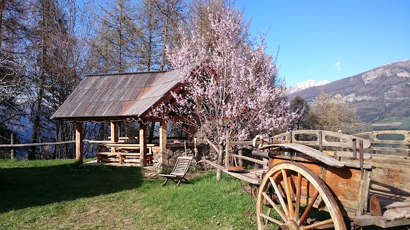 La muande du berger à Baratier