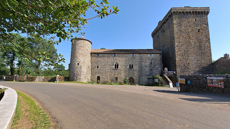 The Viala Tower of Pas de Jaux à Viala-du-Pas-de-Jaux