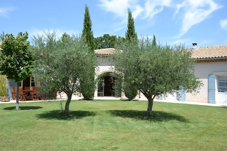 At the Time of Cherries à Vers