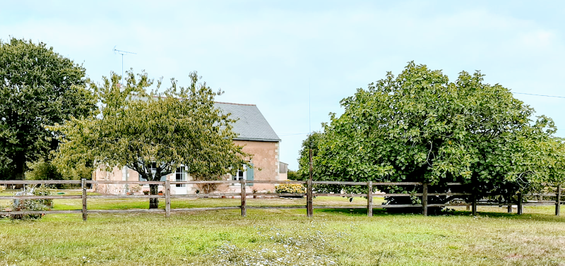 Les Engenêts à Feneu