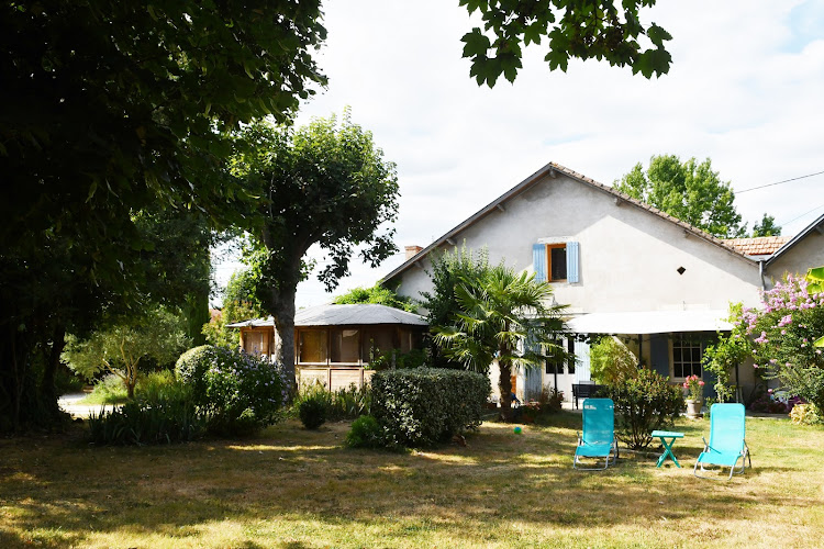 Les bergeronnettes à Bergerac