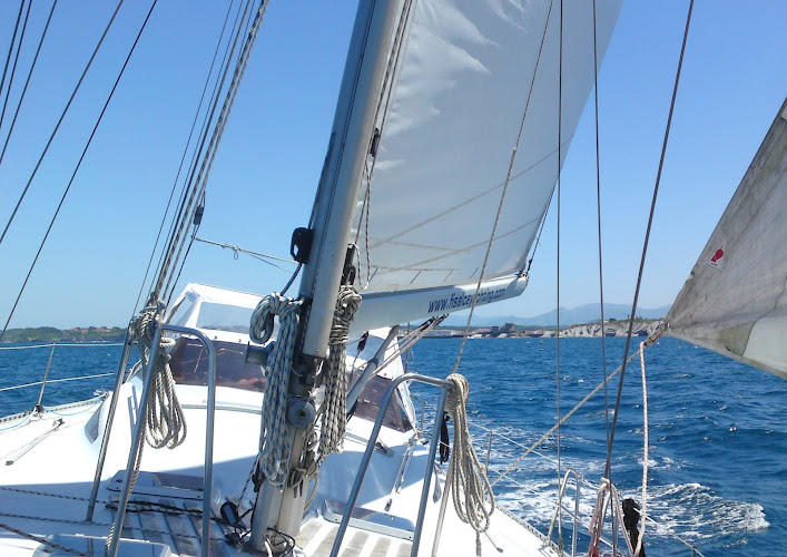 Guest boat Fisaloey